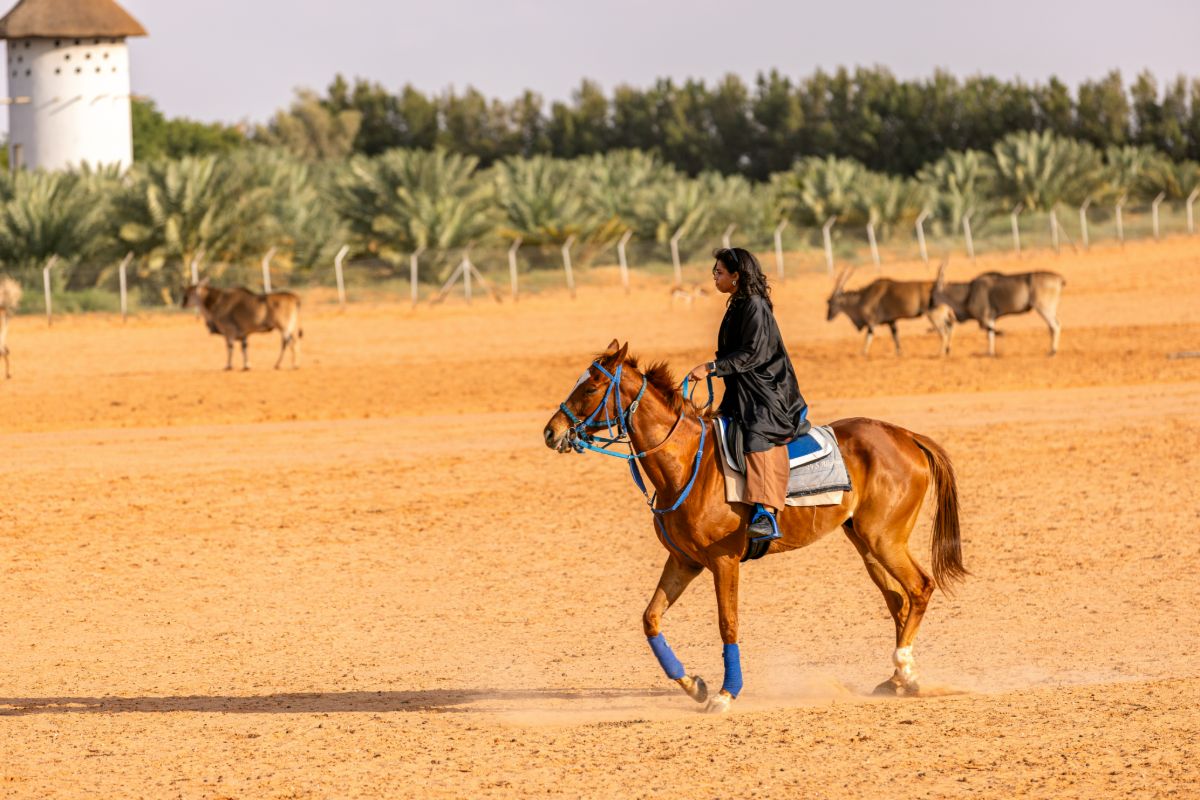 Oáza v Arabské poušti Oáza v Arabské poušti