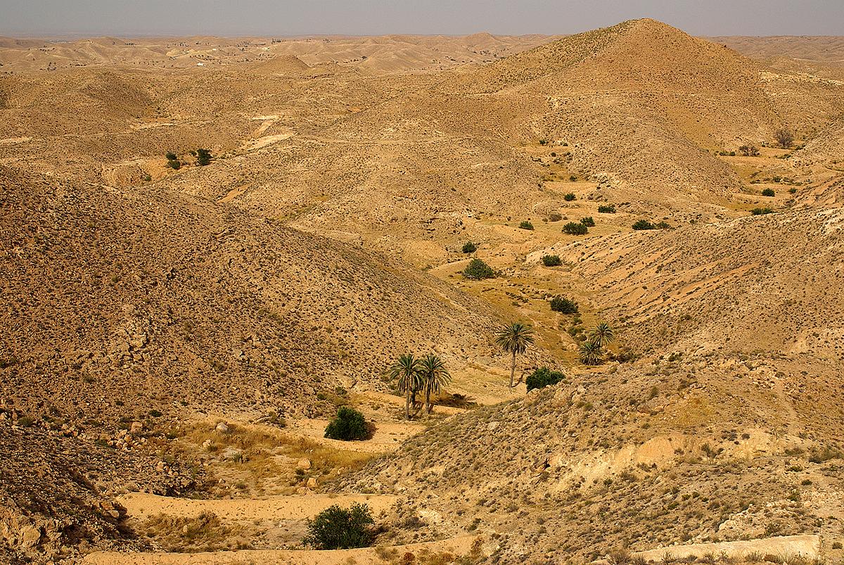 Djerba - Dovolená 2025 - CK FISCHER