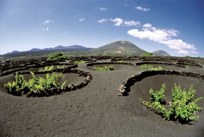 Lanzarote je na první pohled sopečný ostrov Spanelsko-08-Lanzarote-Lanzarote-je-na-prvni-pohled-sopecny-ostrov.jpg