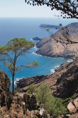 Madeira je úchvatná! madeira-Madeira-je-uchvatna.jpg