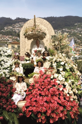 Znáte důležité kontakty na květinovém ostrově? madeira-Znate-dulezite-kontakty-na-kvetinovem-ostrove.jpg